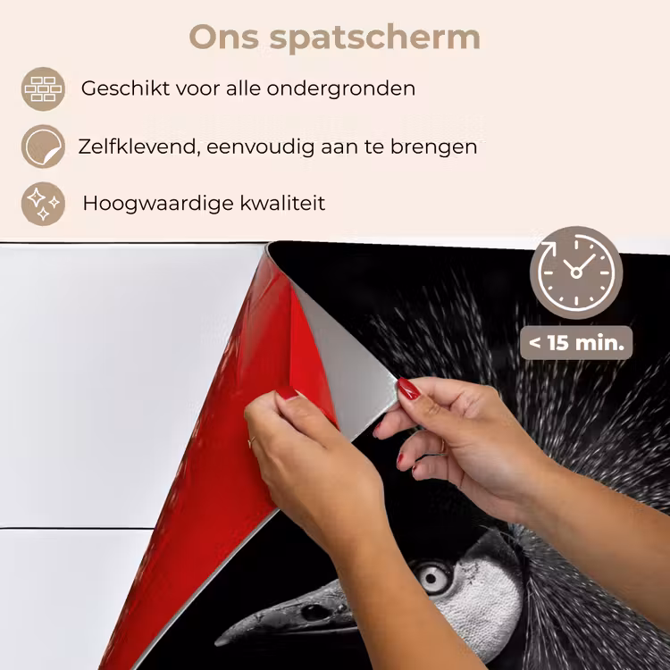 Kraanvogel - Zwart - Wit - Vogel - Dieren keuken achterwand spatscherm klein -spatscherm_NL