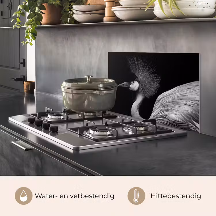 Kraanvogel - Zwart - Wit - Vogel - Dieren keuken achterwand spatscherm klein -usp_NL