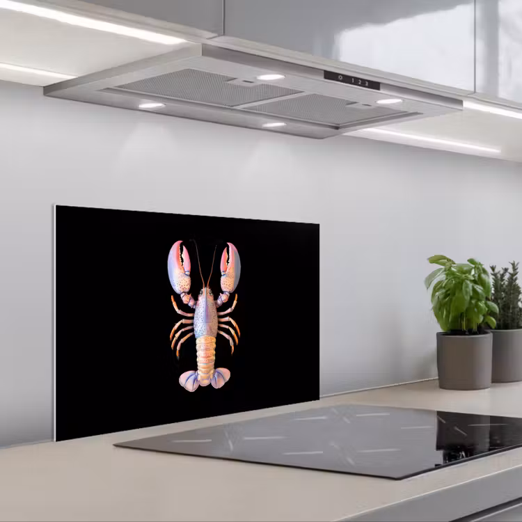Kreeft - Roze - Zacht - Zwart keuken achterwand spatscherm klein -3d_schuin
