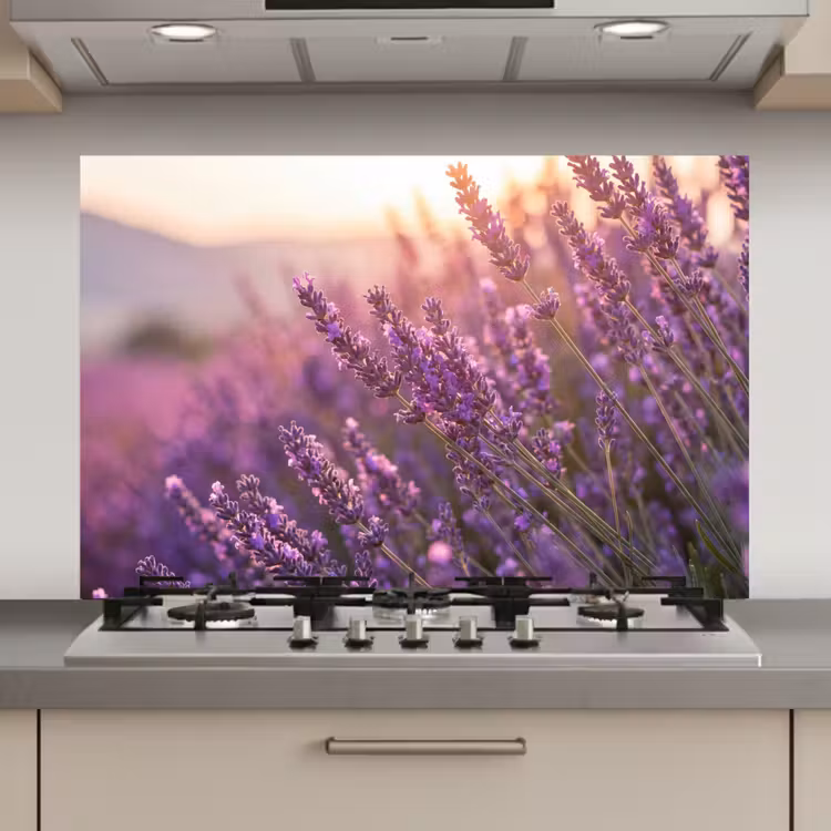 Lavendel - Paars - Zonlicht keuken achterwand spatscherm klein -3d_website