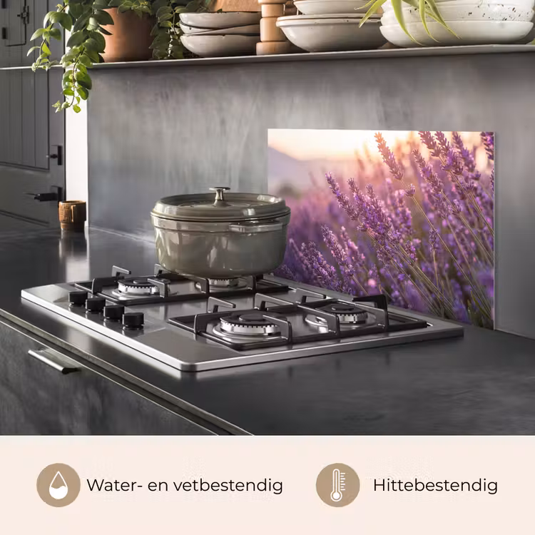 Lavendel - Paars - Zonlicht keuken achterwand spatscherm klein -usp_NL