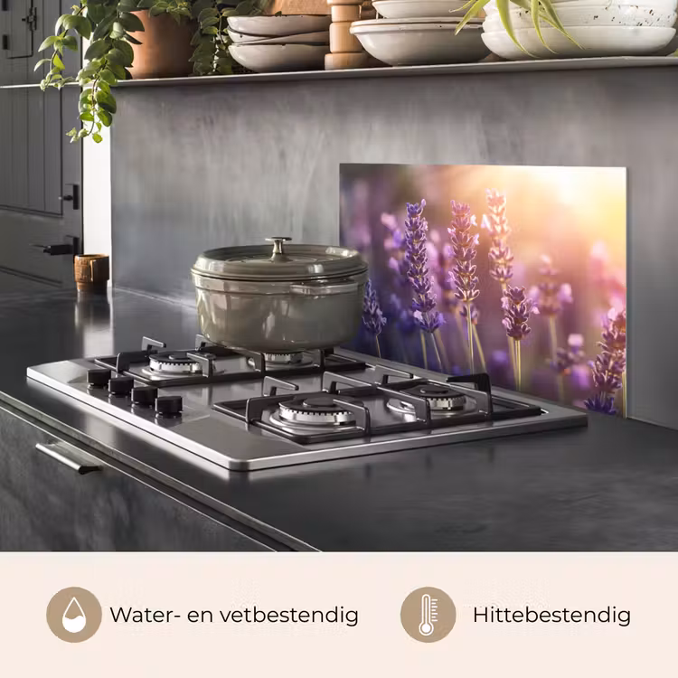 Lavendelbloemen - Paars - Zonlicht keuken achterwand spatscherm klein -usp_NL