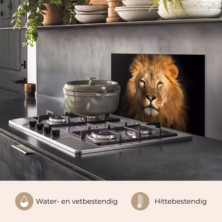 Leeuw - Dieren - Zwart - Licht - Bruin - Portret keuken achterwand spatscherm klein -usp_NL