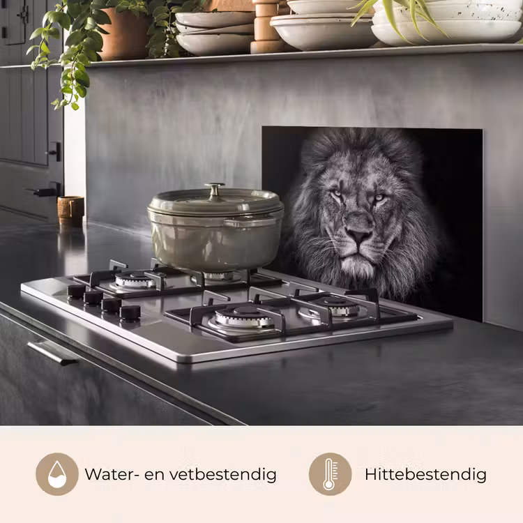Leeuw - Dieren - Zwart - Wit keuken achterwand spatscherm klein -usp_NL