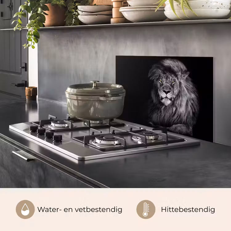 Leeuw - Ogen - Oranje - Zwart wit - Dieren - Portret keuken achterwand spatscherm klein -usp_NL