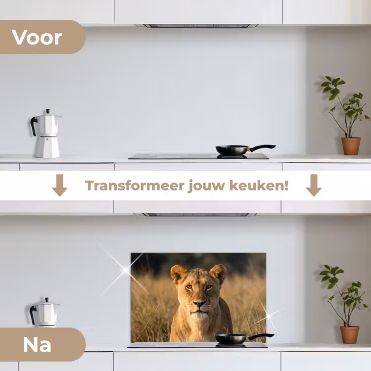 Leeuwin - Gras - Geel keuken achterwand spatscherm klein -voor_na_NL