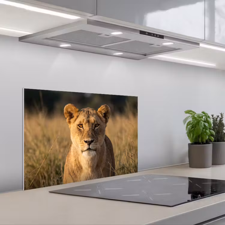 Leeuwin - Gras - Geel keuken achterwand spatscherm klein -3d_schuin