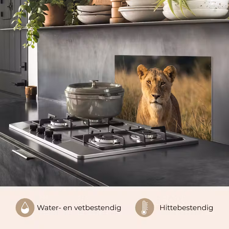 Leeuwin - Gras - Geel keuken achterwand spatscherm klein -usp_NL