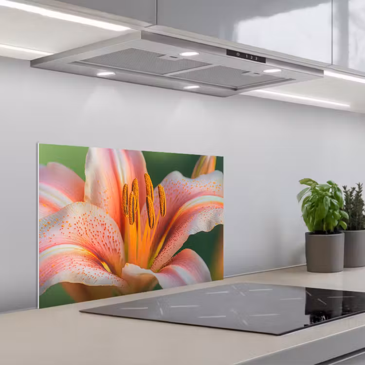 Lelie - Close up - Lichtroze keuken achterwand spatscherm klein -3d_schuin