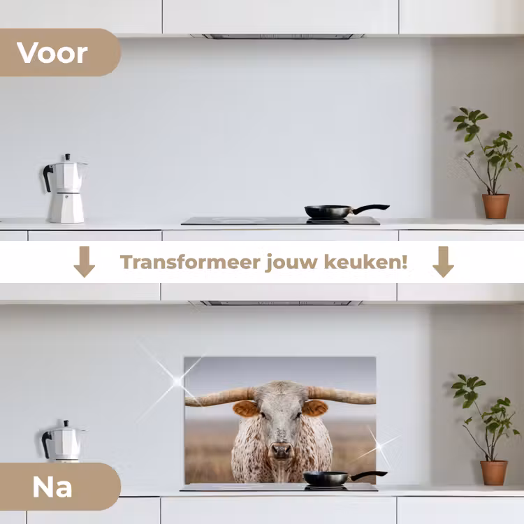 Longhorn - Grasveld - Dier keuken achterwand spatscherm klein -voor_na_NL
