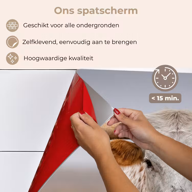 Longhorn - Grasveld - Dier keuken achterwand spatscherm klein -spatscherm_NL