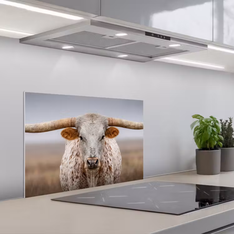 Longhorn - Grasveld - Dier keuken achterwand spatscherm klein -3d_schuin