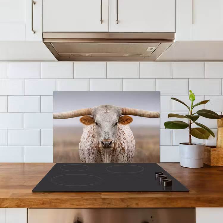 Longhorn - Grasveld - Dier keuken achterwand spatscherm klein -sfeer2