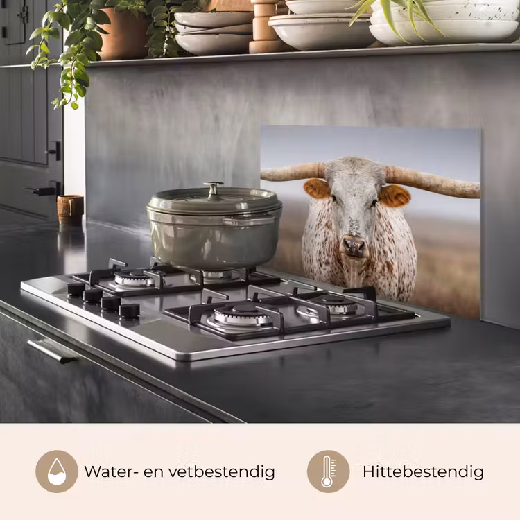 Longhorn - Grasveld - Dier keuken achterwand spatscherm klein -usp_NL