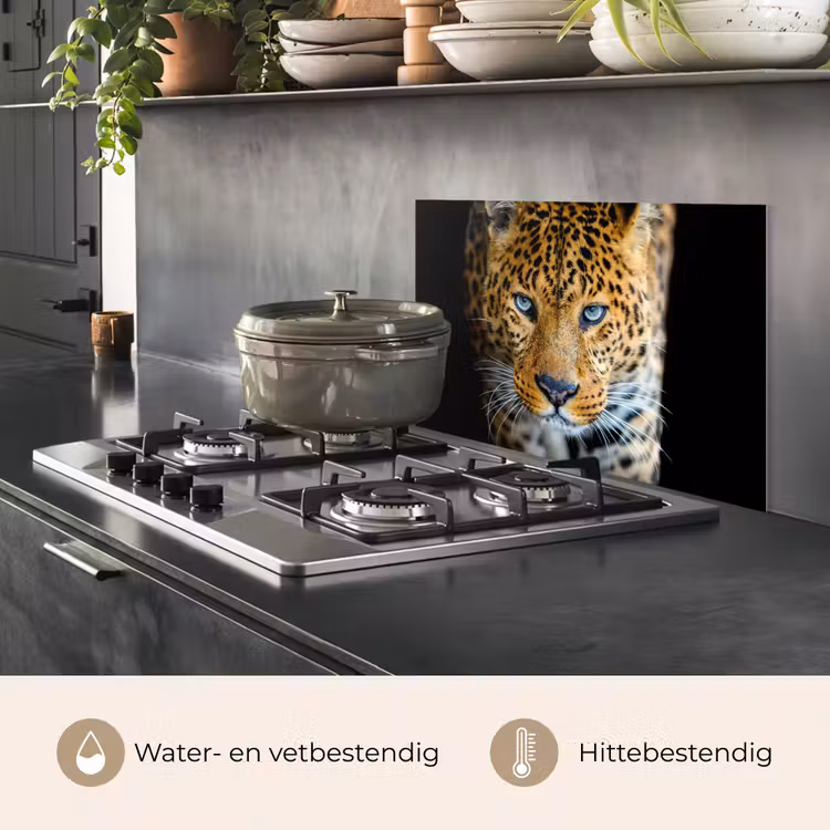 Luipaard - Dieren - Portret - Wilde dieren - Zwart keuken achterwand spatscherm klein -usp_NL