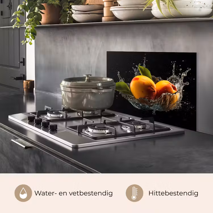 Mango - Fruit - Water - Zwart - Bladeren keuken achterwand spatscherm klein -usp_NL