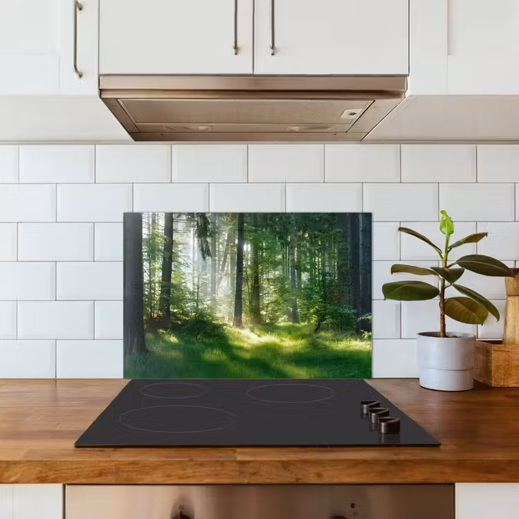 Natuur - Bomen - Bos - Groen - Zon - Gras - Planten keuken achterwand spatscherm klein -sfeer2