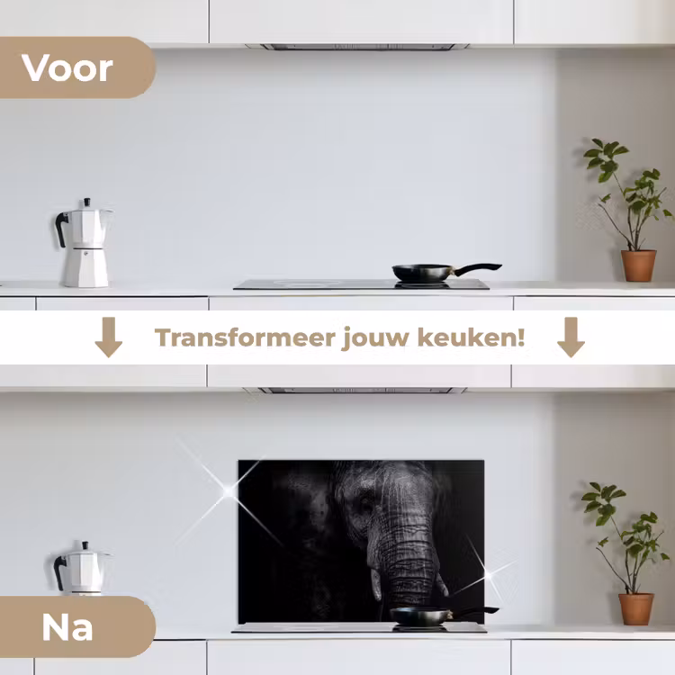 Olifant - Dier - Portret keuken achterwand spatscherm klein -voor_na_NL