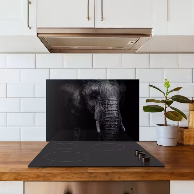 Olifant - Dier - Portret keuken achterwand spatscherm klein -sfeer2