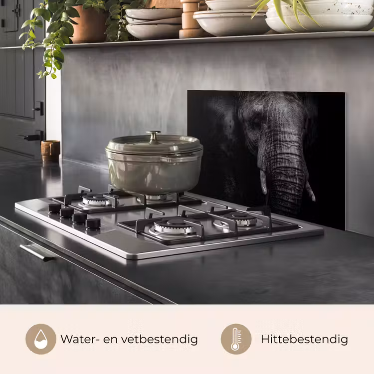 Olifant - Dier - Portret keuken achterwand spatscherm klein -usp_NL