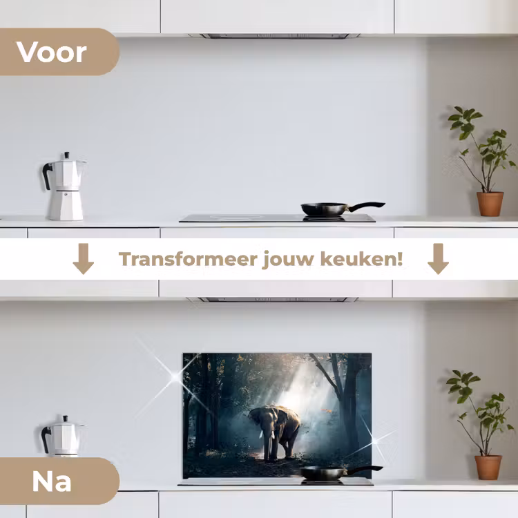 Olifant - Dieren - Licht - Bos - Natuur - Wilde dieren keuken achterwand spatscherm klein -voor_na_NL