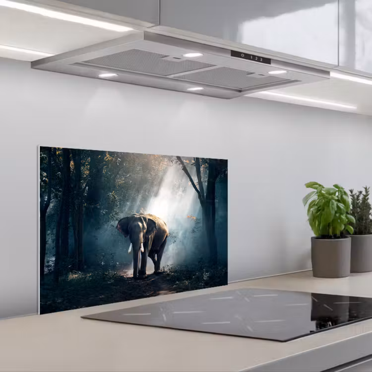 Olifant - Dieren - Licht - Bos - Natuur - Wilde dieren keuken achterwand spatscherm klein -3d_schuin