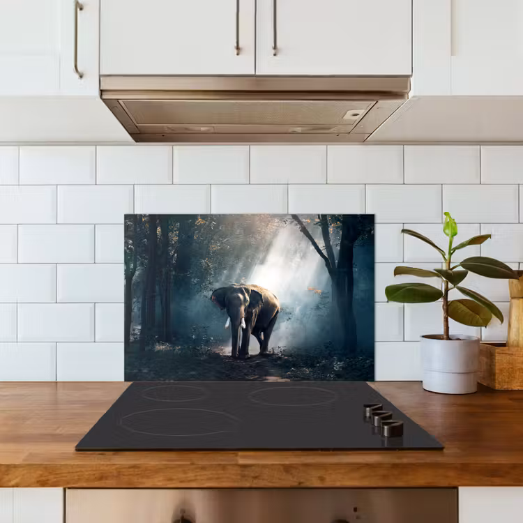 Olifant - Dieren - Licht - Bos - Natuur - Wilde dieren keuken achterwand spatscherm klein -sfeer2