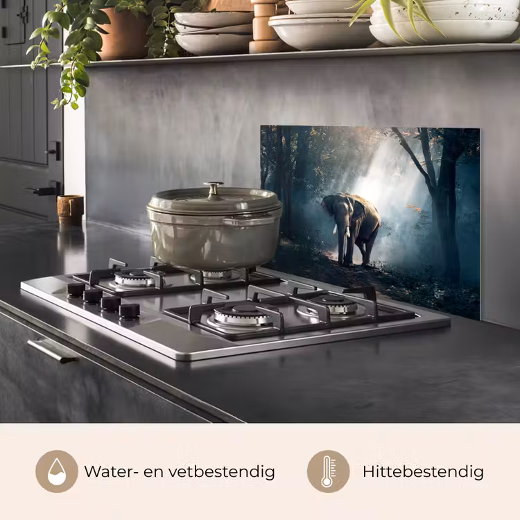 Olifant - Dieren - Licht - Bos - Natuur - Wilde dieren keuken achterwand spatscherm klein -usp_NL