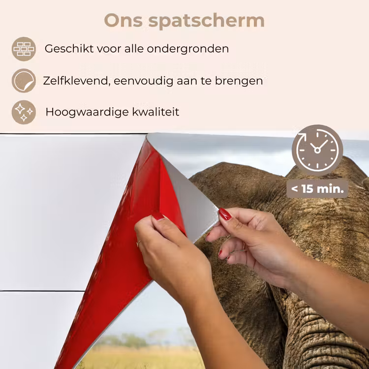 Olifant - Natuur - Gras - Dieren - Landschap keuken achterwand spatscherm klein -spatscherm_NL