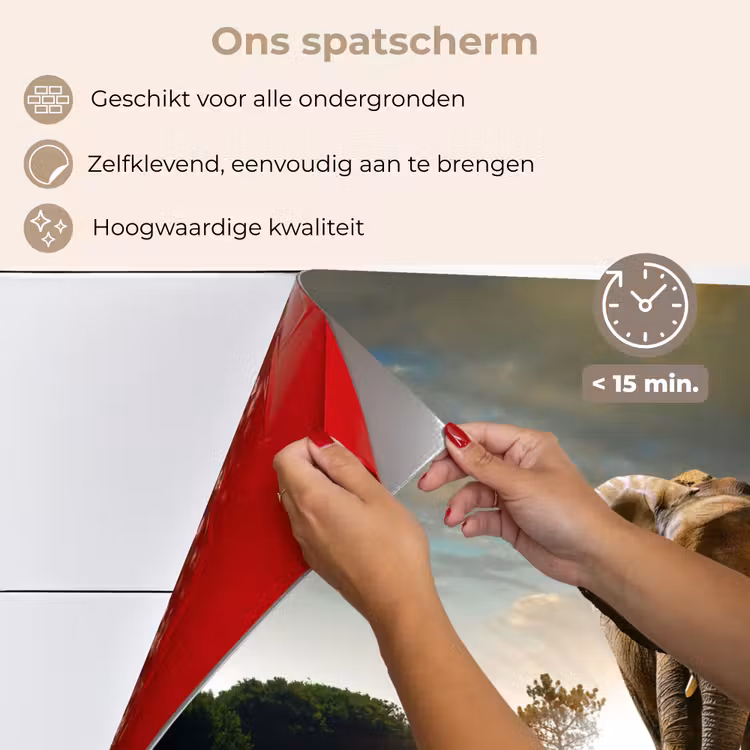 Olifant - Weg - Dieren - Zonsondergang - Landschap keuken achterwand spatscherm klein -spatscherm_NL