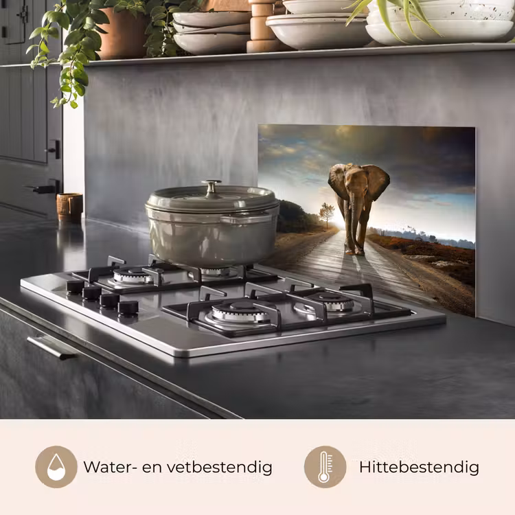 Olifant - Weg - Dieren - Zonsondergang - Landschap keuken achterwand spatscherm klein -usp_NL
