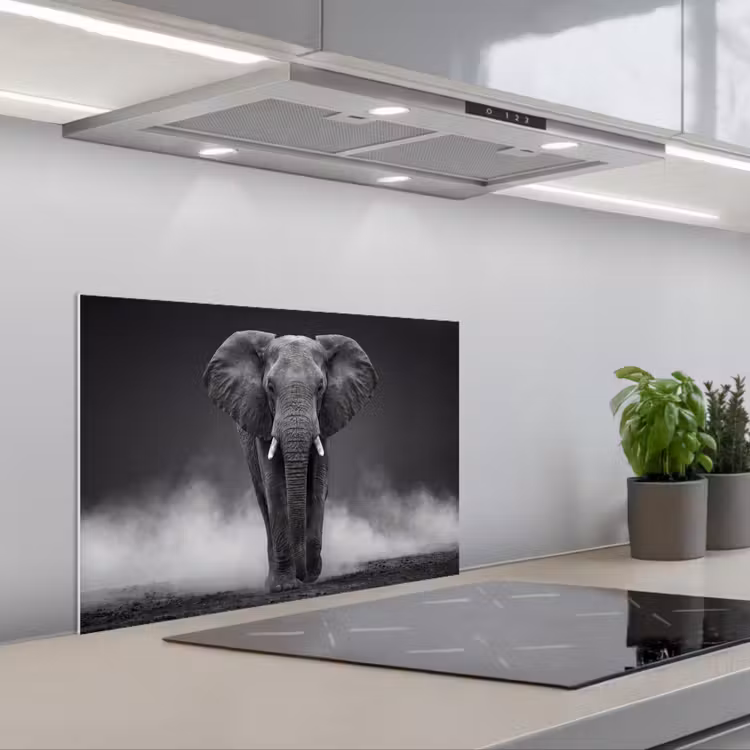 Olifant - Zwart - Wit - Rook keuken achterwand spatscherm klein -3d_schuin