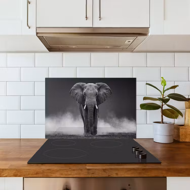 Olifant - Zwart - Wit - Rook keuken achterwand spatscherm klein -sfeer2