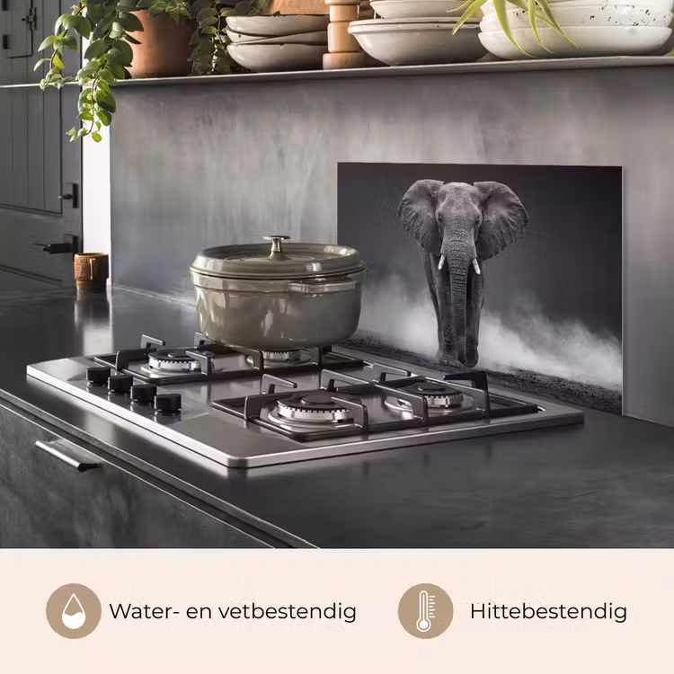 Olifant - Zwart - Wit - Rook keuken achterwand spatscherm klein -usp_NL