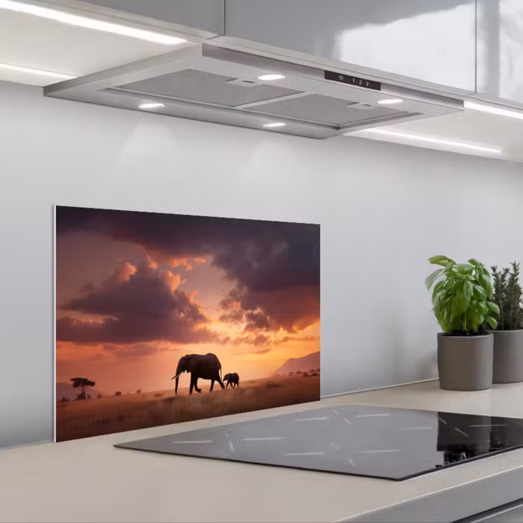 Olifanten - Grasland - Zonsondergang keuken achterwand spatscherm klein -3d_schuin