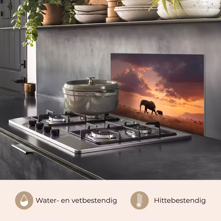 Olifanten - Grasland - Zonsondergang keuken achterwand spatscherm klein -usp_NL