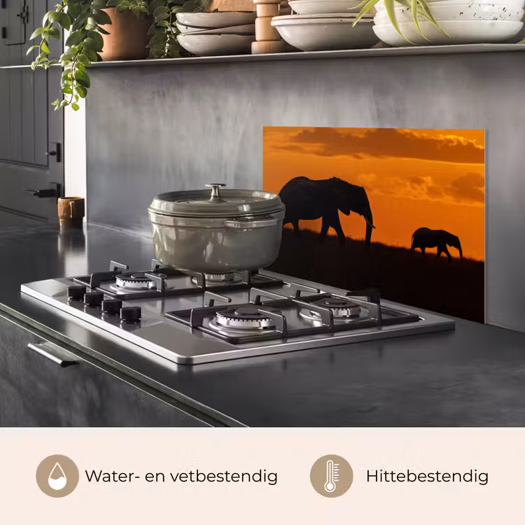 Olifanten - Savanne - Zonsondergang keuken achterwand spatscherm klein -usp_NL