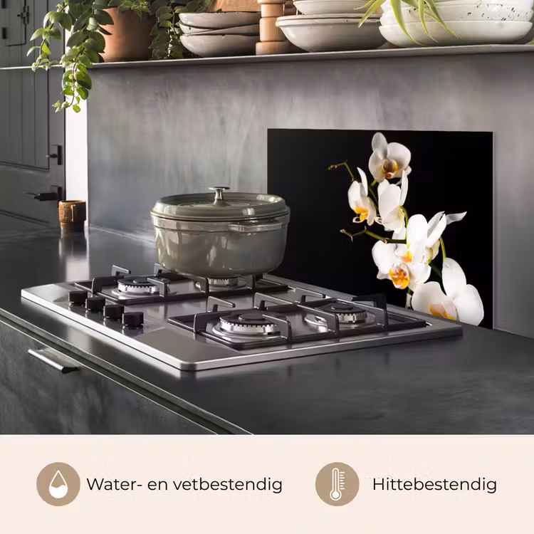 Orchidee - Bloemen - Planten - Botanisch keuken achterwand spatscherm klein -usp_NL