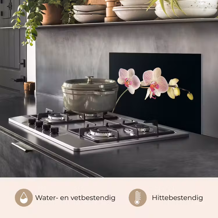 Orchidee - Bloemen - Zwart - Roze - Knoppen keuken achterwand spatscherm klein -usp_NL