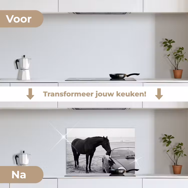 Paard - Auto - Zwart - Wit keuken achterwand spatscherm klein -voor_na_NL
