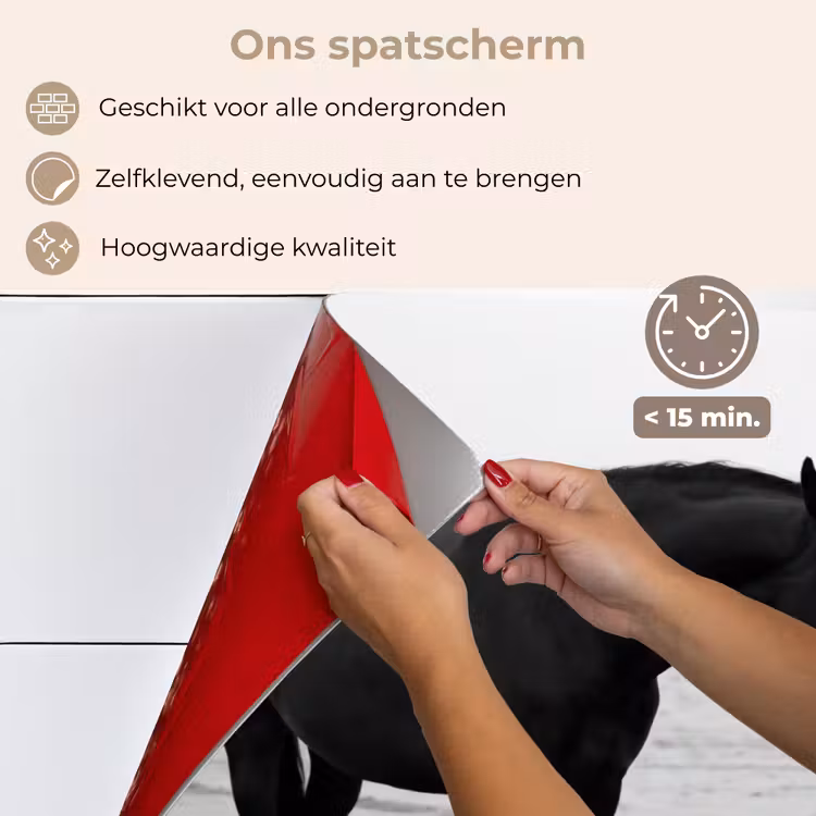 Paard - Auto - Zwart - Wit keuken achterwand spatscherm klein -spatscherm_NL