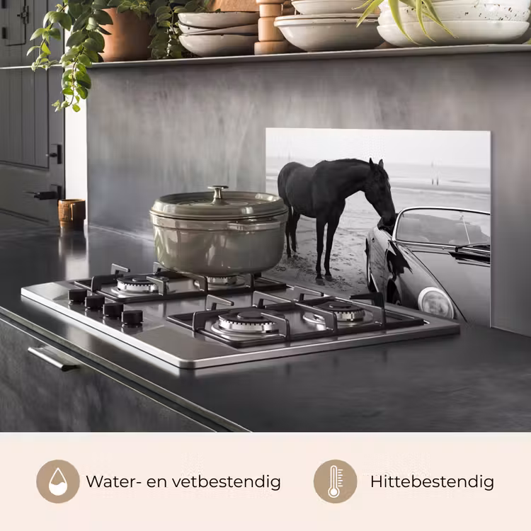 Paard - Auto - Zwart - Wit keuken achterwand spatscherm klein -usp_NL