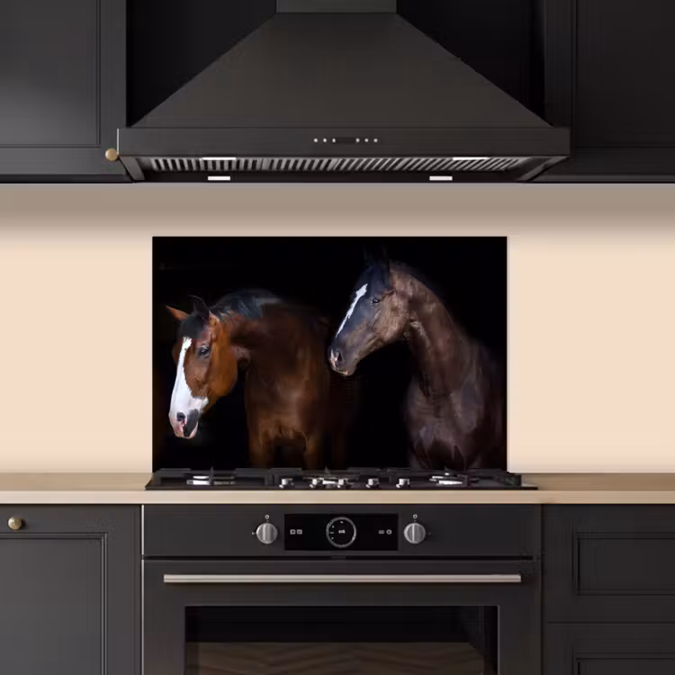 Paard - Dieren - Zwart keuken achterwand spatscherm klein -sfeer1