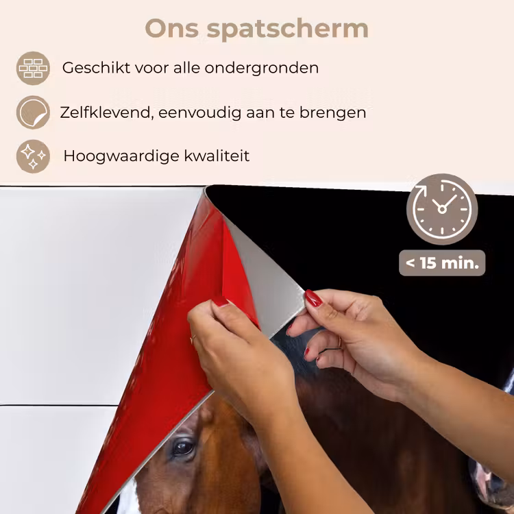 Paard - Dieren - Zwart keuken achterwand spatscherm klein -spatscherm_NL