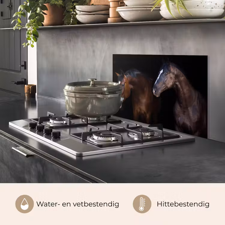 Paard - Dieren - Zwart keuken achterwand spatscherm klein -usp_NL