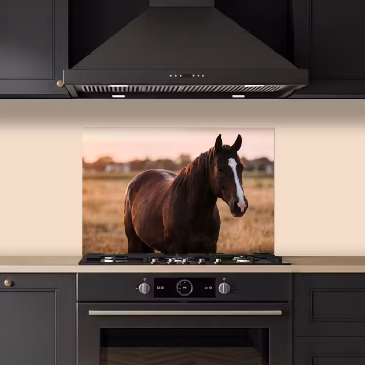 Paard - Zonsondergang - Bruin keuken achterwand spatscherm klein -sfeer1