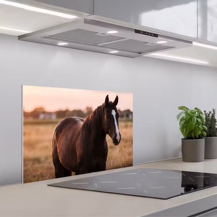 Paard - Zonsondergang - Bruin keuken achterwand spatscherm klein -3d_schuin