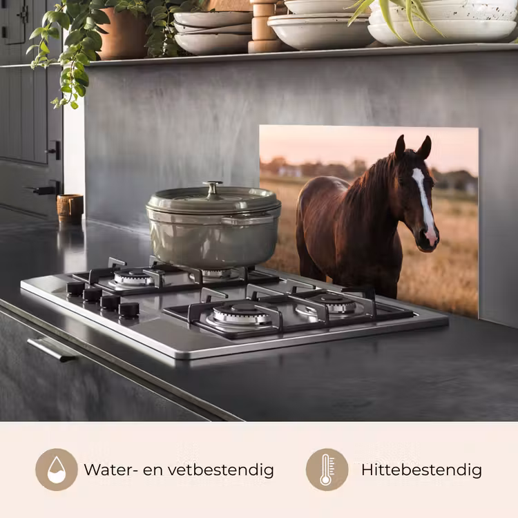 Paard - Zonsondergang - Bruin keuken achterwand spatscherm klein -usp_NL