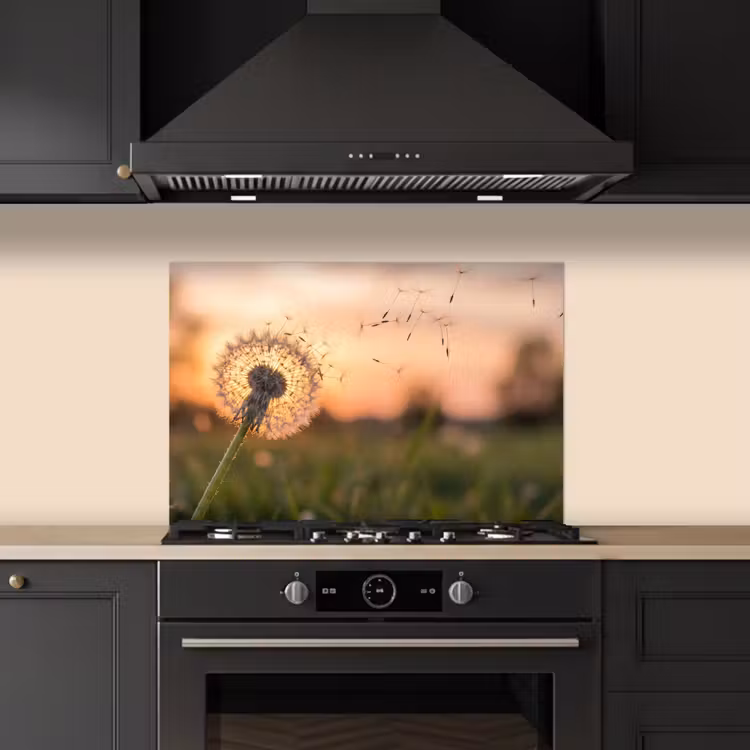 Paardenbloem - Zonsondergang - Veld keuken achterwand spatscherm klein -sfeer1