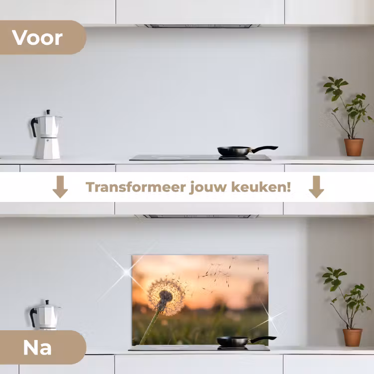 Paardenbloem - Zonsondergang - Veld keuken achterwand spatscherm klein -voor_na_NL